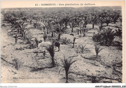 AHNP7-0764 - AFRIQUE - DJIBOUTI - Une Plantation De Dattiers - Gibuti