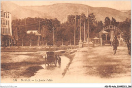 AICP1-ASIE-0044 - DAMAS - Le Jardin Public - Syria