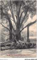 AHZP9-ASIE-0760 - BANYAN TREE PERADENIYA GARDENS - CEYLON - Inde