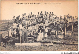 AICP6-AFRIQUE-0627 - MISSIONS DE P P DU SAINT-ESPRIT - éléphant Apprivoisé Au Travail - Ohne Zuordnung