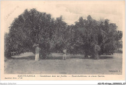 AICP5-AFRIQUE-0566 - HAUTE-SANGA - Caoutchoucs Dans Un Jardin - República Centroafricana