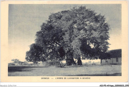 AICP5-AFRIQUE-0548 - ZAMBEZE - L'arbre De Livingstone à Séshéké - Ohne Zuordnung