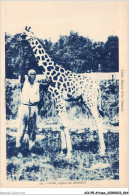 AICP5-AFRIQUE-0541 - Girafe - Région De BANGUI - República Centroafricana