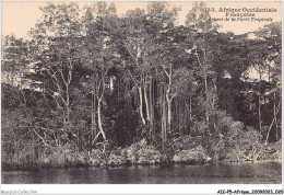 AICP5-AFRIQUE-0519 - AFRIQUE OCCIDENTALE FRANCAISE - Aspect De La Forêt Tropicale - Zonder Classificatie