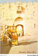 AICP4-ASIE-0499 - JERUSALEM - Lion's Gate - La Porte De St Etienne - Israel