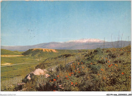 AICP4-ASIE-0503 - UPPER GALILEE - Hazor Hill And Mt Hermon - Israël