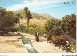 AICP4-ASIE-0442 - JERICHO - Canal D'irrigation En Provenance De La Source D'elisha - Palästina