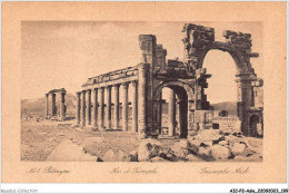 AICP2-ASIE-0222 - ARC DE TRIOMPHE - Syrië