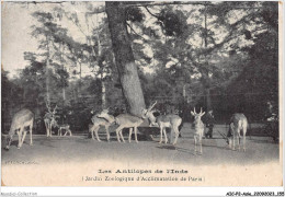 AICP2-ASIE-0200 - Les Antilopes De L'INDE - Jardin Zoologique D'acclimatation De Paris - India