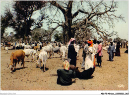 AICP9-AFRIQUE-0995 - COULEURS D'AFRIQUE - Le Rendez-vous Des Bergers - Zonder Classificatie