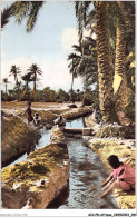 AICP8-AFRIQUE-0900 - Dans L'oasis - Unclassified