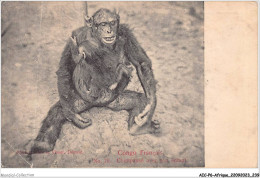 AICP6-AFRIQUE-0737 - CONGO-FRANCAIS - Chimpansé Avec Son Enfant - Frans-Kongo