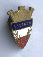 Insigne Boutonnière Association Des Anciens étudiants De L'ECOLE NATIONALE ADMINISTRATION Municipale - ASSENAM - Autres & Non Classés