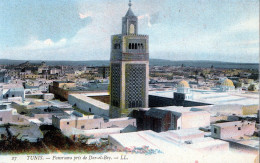 Tunis Panorama Pris De Dar El Bey - Tunesië