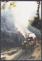 Inde India Mint Postcard Kalka-Shimla Railway, UNESCO World Heritage SIte, Railways, Train Trains, Mountain Steam Engine - Indien