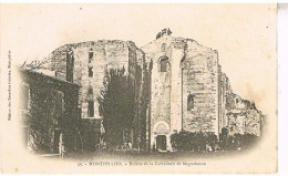 34  MONTPELLIER   RUINES DE LA CATHEDRALE DE MAGUELONNE - Montpellier