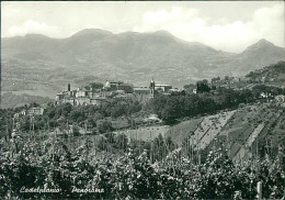 CASTELPLANIO ( ANCONA ) - PANORAMA - EDIZIONE SANTELLI - SPEDITA - 1950s (20656) - Ancona