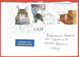 Polonia, Polska, Poland, Pologne; Envelope With Cats, Gatti, Chats, Katzen Of 2010 Travelled 2014. - Chats Domestiques