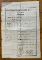 ROSSETTI ANNIBALE, CONSOLE GENERALE DI TOSCANA IN ALESSANDRIA D'EGITTO - 7/8/1849  FIRMA AUTOGRAFA CONTROFIRMATA  -- - Historical Documents