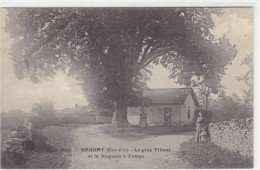 Côte-d'Or - Epagny - Le Gros Tilleul Et Le Magasin à Pompe - Autres & Non Classés