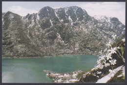 Inde India 2006 Mint Postcard Himalayan Lakes, Mountain, Mountains, Lake, Tsangu - India