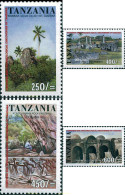 119450 MNH TANZANIA 2002 PINTURA Y ARQUEOLOGIA - Tanzania (1964-...)