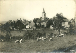 12  ROUSSENNAC - VUE GENERALE (ref A612) - Sonstige & Ohne Zuordnung