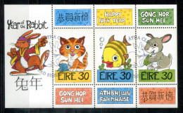 IRLAND Block 30, Bl.30 Canc. - Chines.Jahr Des Kaninchens, Year Of The Rabbit, Année Du Lapin - IRELAND / IRLANDE - Blocchi & Foglietti