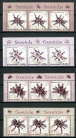 ROMANIA 2010** - Tarantole - 3 Strisce Di 4 Val. MNH - Ragni