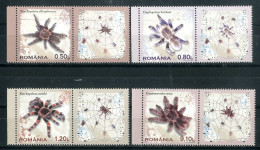 ROMANIA 2010** - Tarantole - 4 Val. MNH Con Indice. - Araignées