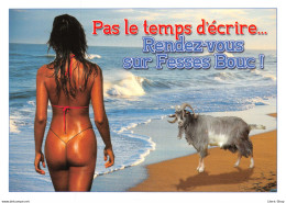HUMOUR # PIN-UP # FESSES # BOUC - Pas Le Temps D'écrire.... ( ͡♥ ͜ʖ ͡♥) ♥ - Pin-Ups