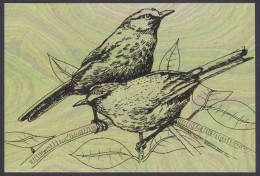 Inde India 2006 Mint Postcard Endangered Birds Of India, Nilgiri LaughingThrush, Thrush, Bird, Drawing, Painting - Inde