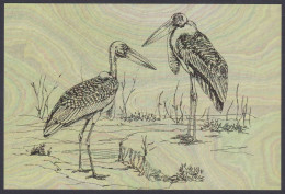 Inde India 2006 Mint Postcard Endangered Birds Of India, Greater Adjutant Stork, Storks, Bird, Drawing, Painting - Inde