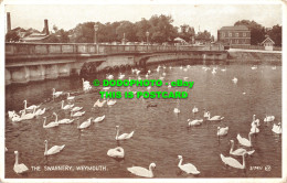 R466018 Weymouth. The Swannery. Valentine. Photo Brown - Monde