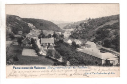 Pensionnat De MALONNE - Vue Générale De La Vallée - Namur