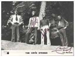 V6268/ The Cry`n Strings Beat- Popband Autogramm Autogrammkarte 70er Jahre - Autógrafos