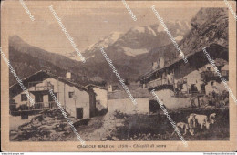 Cm487 Cartolina Ceresole Reale Chiapiti Di Sopra Provinciadi Torino Guarda Retro - Autres & Non Classés