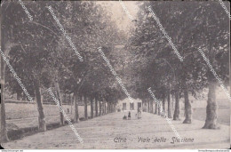 Cm484 Cartolina Cirie Viale Della Stazione Provincia Di Torino Piemonte 1910 - Sonstige & Ohne Zuordnung