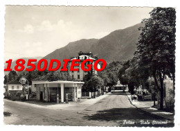 FELTRE - VIALE STAZIONE F/GRANDE  VIAGGIATA 1955 ANIMATA - Belluno