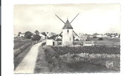BARBÂTRE - Le Moulin Du GOIS Et Le Pays  - N°110 Chapeau éd. - VENTE DIRECTE X - Ile De Noirmoutier