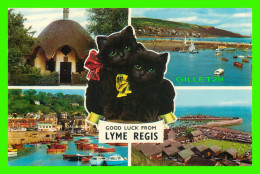 LYME REGIS, DORSET, UK - 2 BLACK CATS - 6 MULTIVUES - TRAVEL IN 1970 - UMBRELLA COTTAGE, THE COBB - THE HARBOUR - - Autres & Non Classés