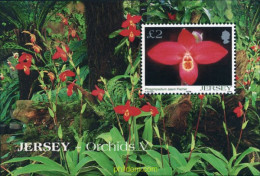 157855 MNH JERSEY 2004 ORQUIDEAS - Jersey