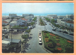 Ppgf/ CPSM Grand Format  - AUDE - NARBONNE PLAGE - AVENUE DE LA MÉDITÉRANÉE - Narbonne