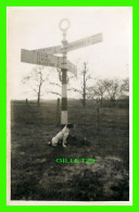 CANTERBURY, KENT, UK - DOG - STANFORD CROSS WITH CANTERBURY - REAL PHOTO - JEROME LTD - - Canterbury