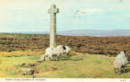 ROYAUME-UNI - Ralph's Cross - Castleton - N Yorkshire - Brebis - Carte Postale - Otros & Sin Clasificación