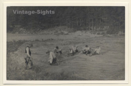 Rab / Croatia: Fisherman Repairing Fishing Nets (Vintage RPPC 1937) - Kroatien