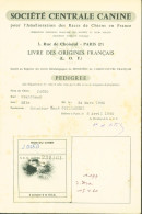 Société Centrale Canine Cachet à Sec Pedigree Chien Drahthaar 1960 - Diplomas Y Calificaciones Escolares