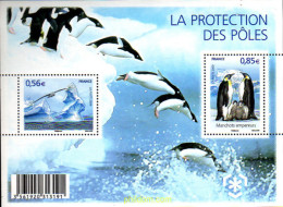 227007 MNH FRANCIA 2009 PROTECCION DE LOS GLACIARES - Otros & Sin Clasificación