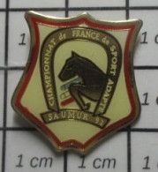 1618c Pin's Pins / Beau Et Rare / SPORTS / EQUITATION FER CHEVAL SAUMUR SPORT ADAPTE CHAMPIONNAT DE FRANCE - Altri & Non Classificati