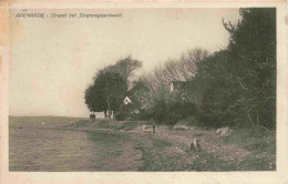 73976448 Apenrade_Aabenraa_DK Strand Bei Juergensgaardwald - Denemarken